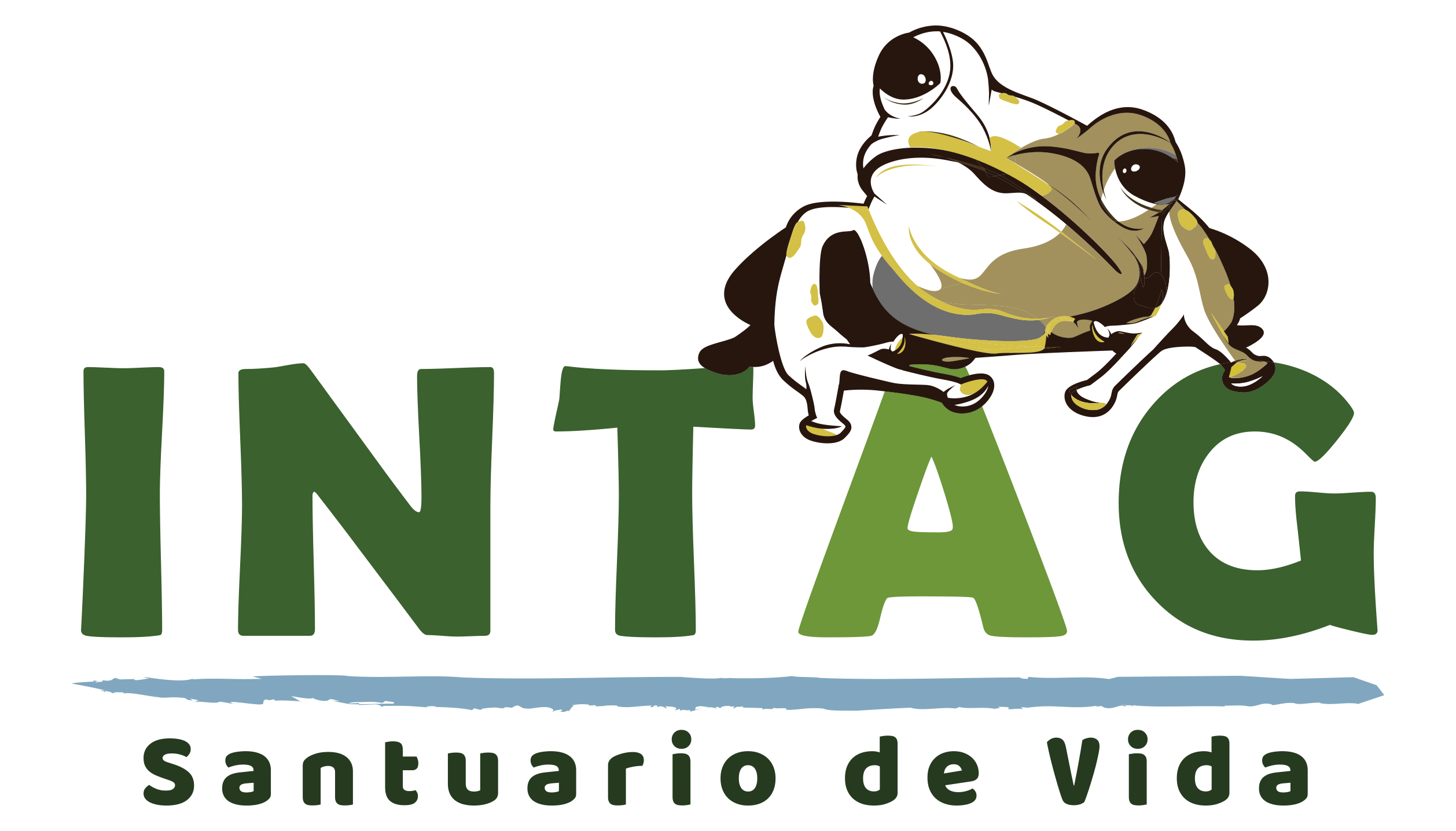 Inicio iintag